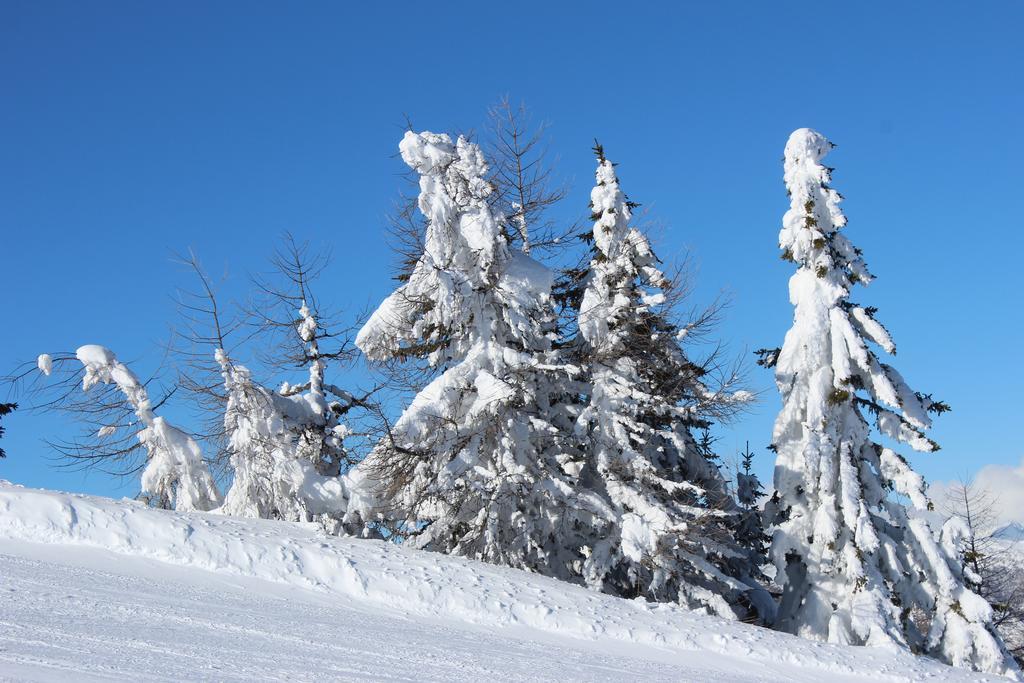 Haus Othmar Schabuss Affittacamere Bad Kleinkirchheim Esterno foto