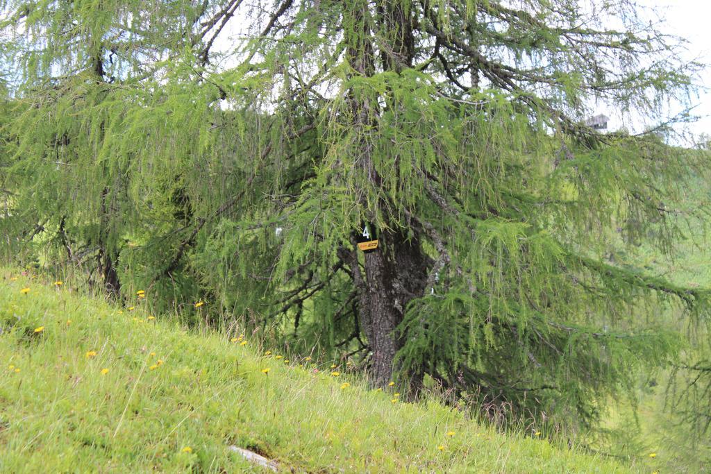 Haus Othmar Schabuss Affittacamere Bad Kleinkirchheim Esterno foto