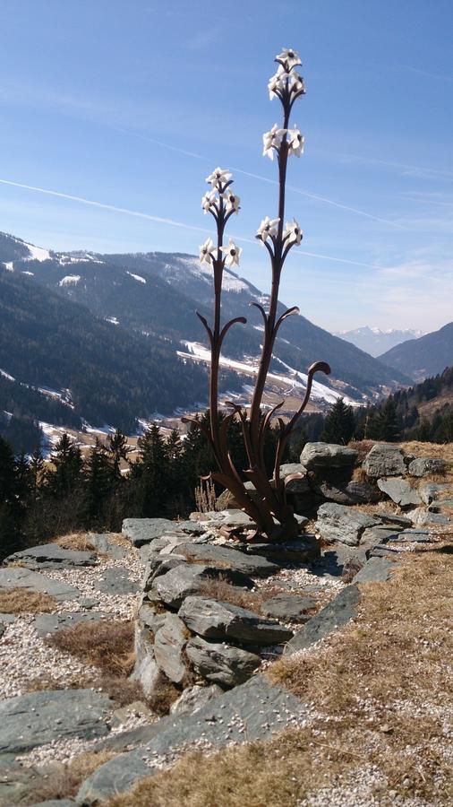 Haus Othmar Schabuss Affittacamere Bad Kleinkirchheim Esterno foto